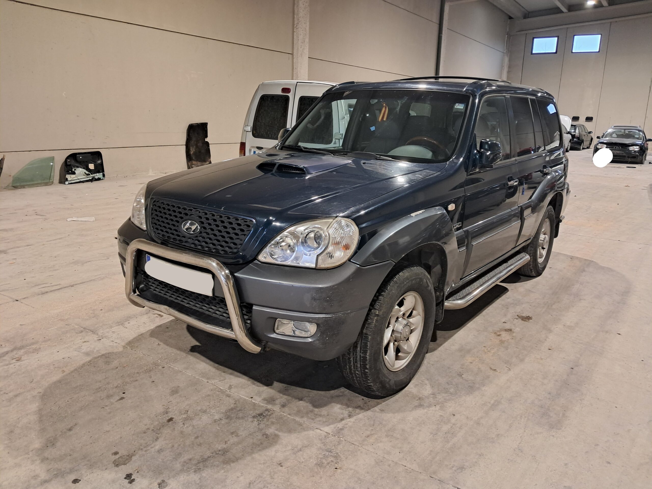 HYUNDAI TERRACAN 2.9 Diésel "J3" (2004-2007)